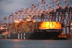 MSC_copy